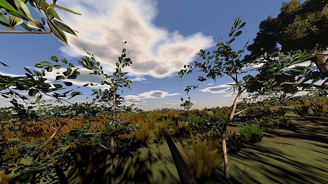 Hunting Life VR: Dove Season