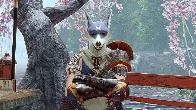 MONSTER HUNTER RISE - "Canyne Mask" Hunter layered armor piece