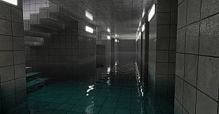 Transcendence in the Poolrooms