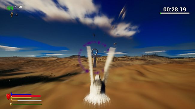 Unexpected Pigeon Race