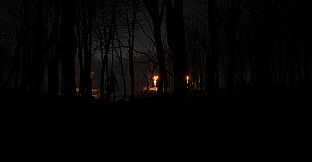 Just a stroll in the forest