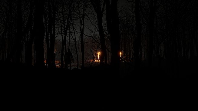 Just a stroll in the forest