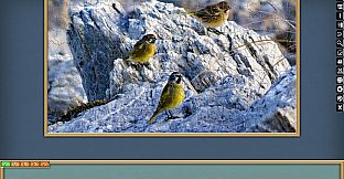 Jigsaw Puzzle Pack - Pixel Puzzles Ultimate: PP2 Birds