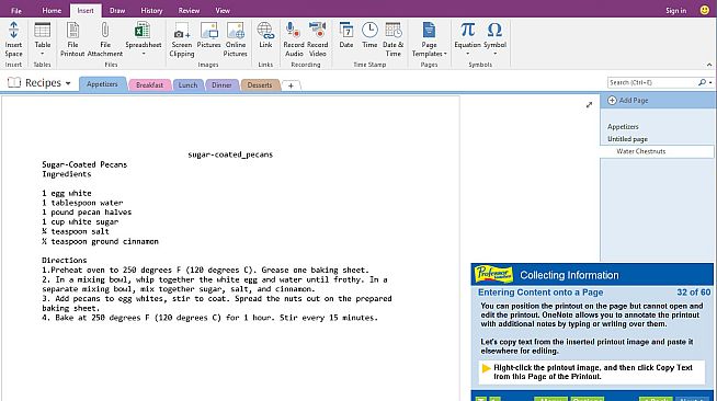 Professor Teaches OneNote 2016