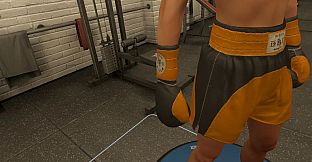 The Thrill Of The Fight 2 - Fitz Gym Original Gloves