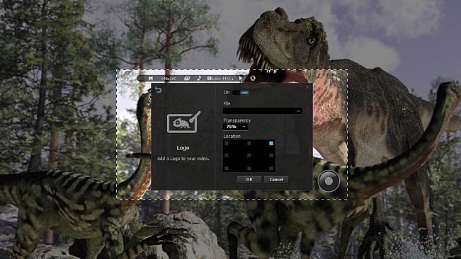 liteCam HD 5.0: Screen/Stream Capture