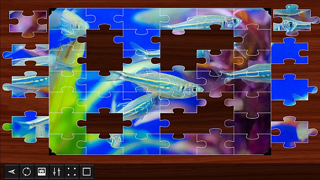 Jigsaw Puzzle World - Fish