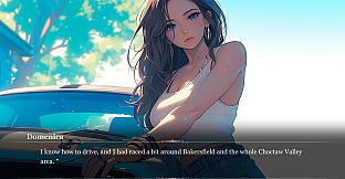 Fast and Flirtatious Artbook