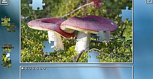 Super Jigsaw Puzzle: Generations - Mushrooms