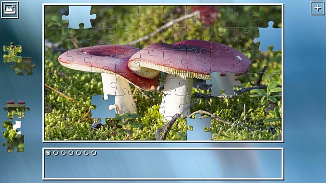 Super Jigsaw Puzzle: Generations - Mushrooms