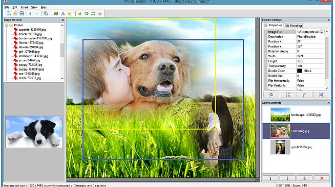 PhotoTangler Collage Maker