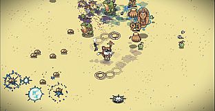 Whiskers In The Sand