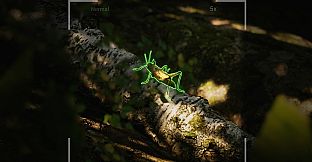Morels: The Hunt 2 Soundtrack