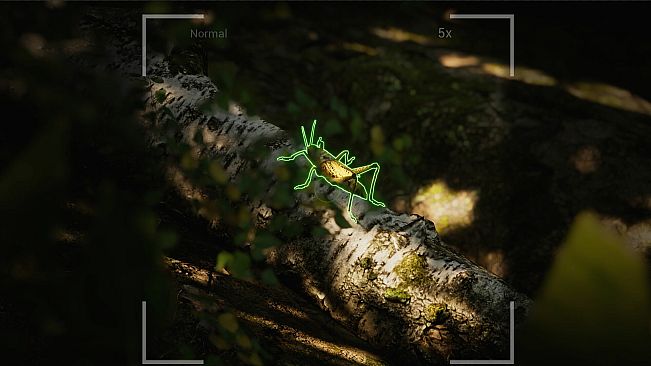 Morels: The Hunt 2 Soundtrack