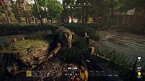 Resilience Wave Survival