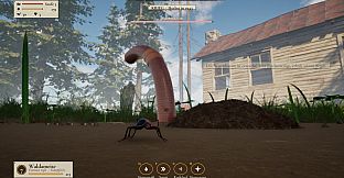 Ant Now?