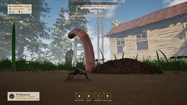 Ant Now?