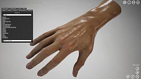 HAELE 3D - Hand Poses Lite - Drawing References