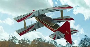 RealFlight Evolution - 2023 Year Content Pass