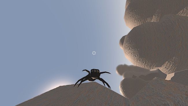 Spider Macro Survivors