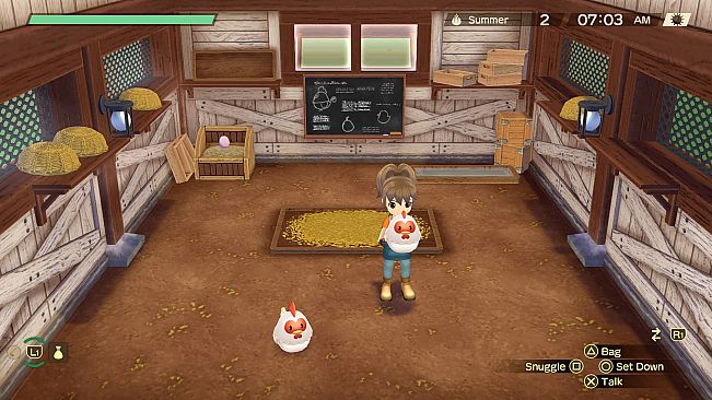 Story of Seasons : A Wonderful life