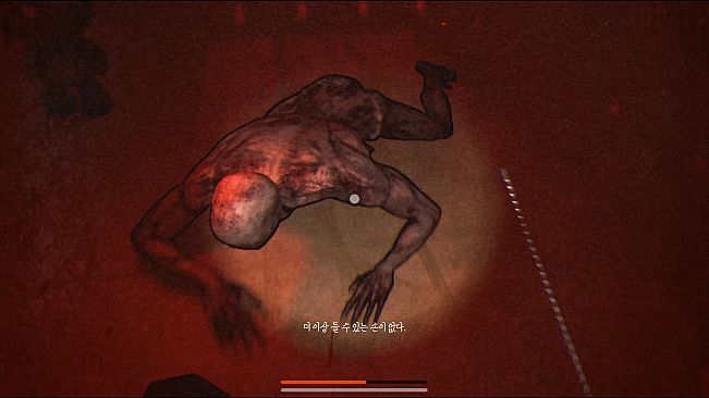 Gallery : Moa's Room