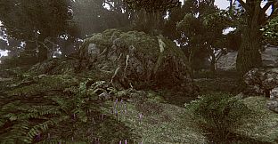 Remote Knights Online