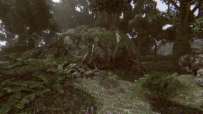 Remote Knights Online