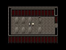 Ashes of Immortality