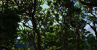 Weidengrund