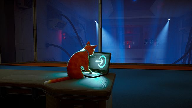 Schrodinger's Cat Burglar