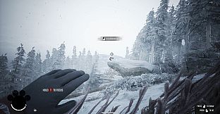 Winter Survival: Prologue