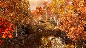 Guided Meditation VR