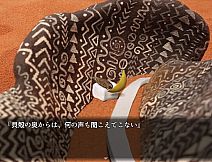 三日月　星めぐりの歌