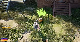 Infected Zone Survival