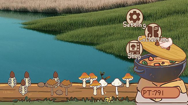 The Fun-gi Haven