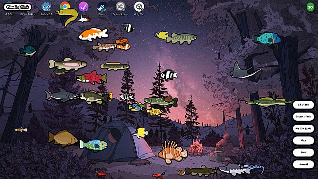 Cozy Aquarium