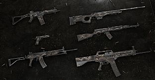 Insurgency: Sandstorm -  Dragon Skin Weapon Skin Set
