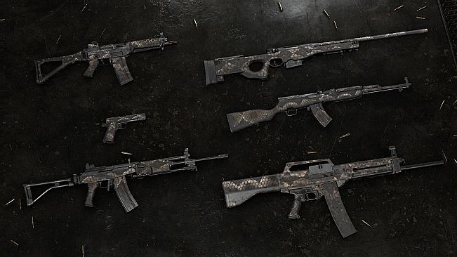 Insurgency: Sandstorm -  Dragon Skin Weapon Skin Set
