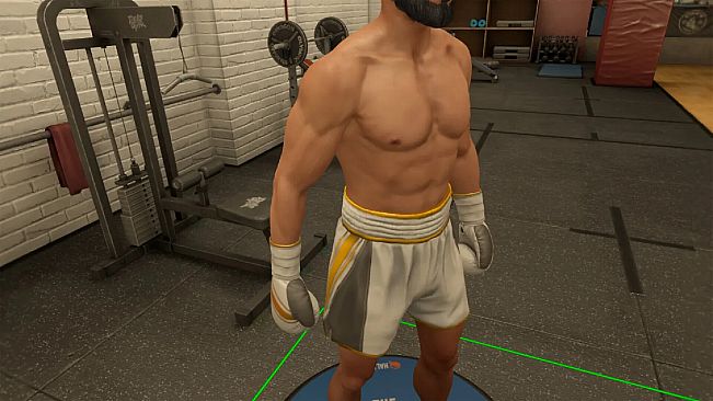 The Thrill Of The Fight 2 - Reigning Champion Shorts