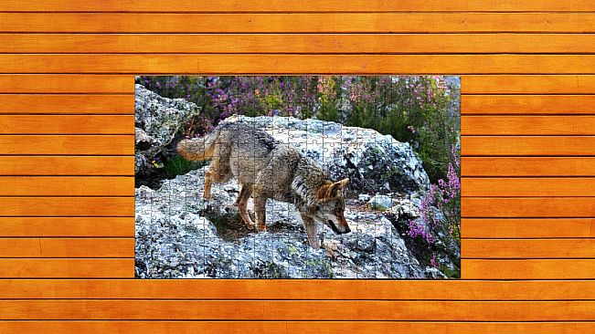 Bear vs. Wolf Jigsaw Puzzle