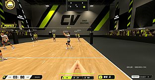 CrazyVolleyball