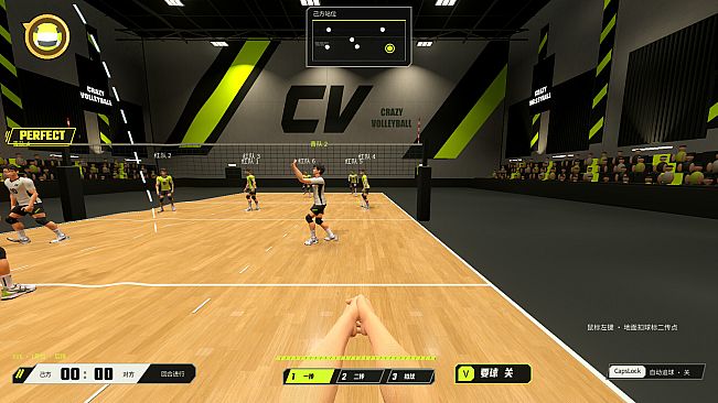 CrazyVolleyball