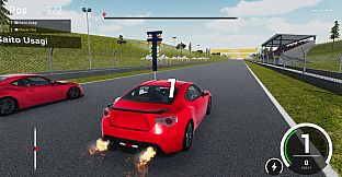 Car Race Simulator