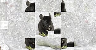 Puzzle Art: Rodents