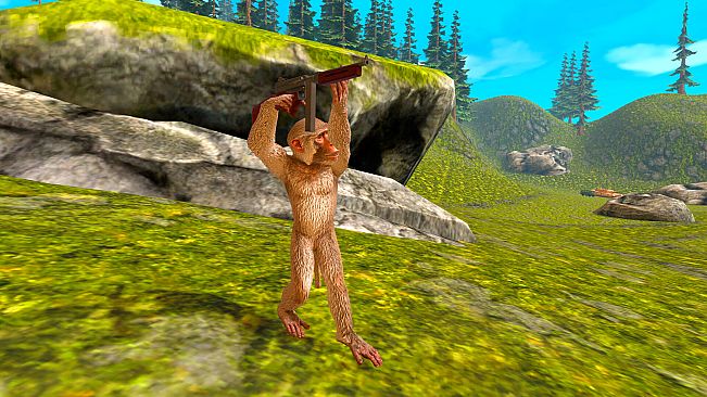Apewar - Rhesus Monkey