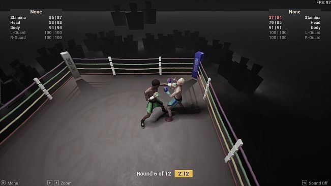 Proto Boxing