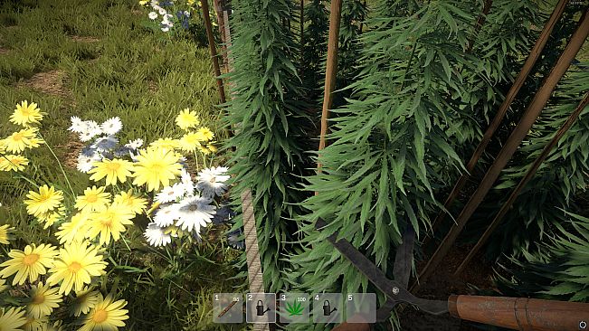 Weed Farmer Simulator