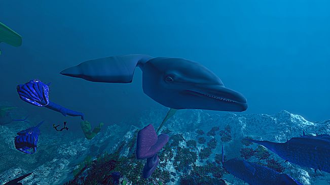 Ecosystem - Tropical Fish Pack