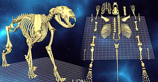 World of Guns VR: 5 Skeletons Pack